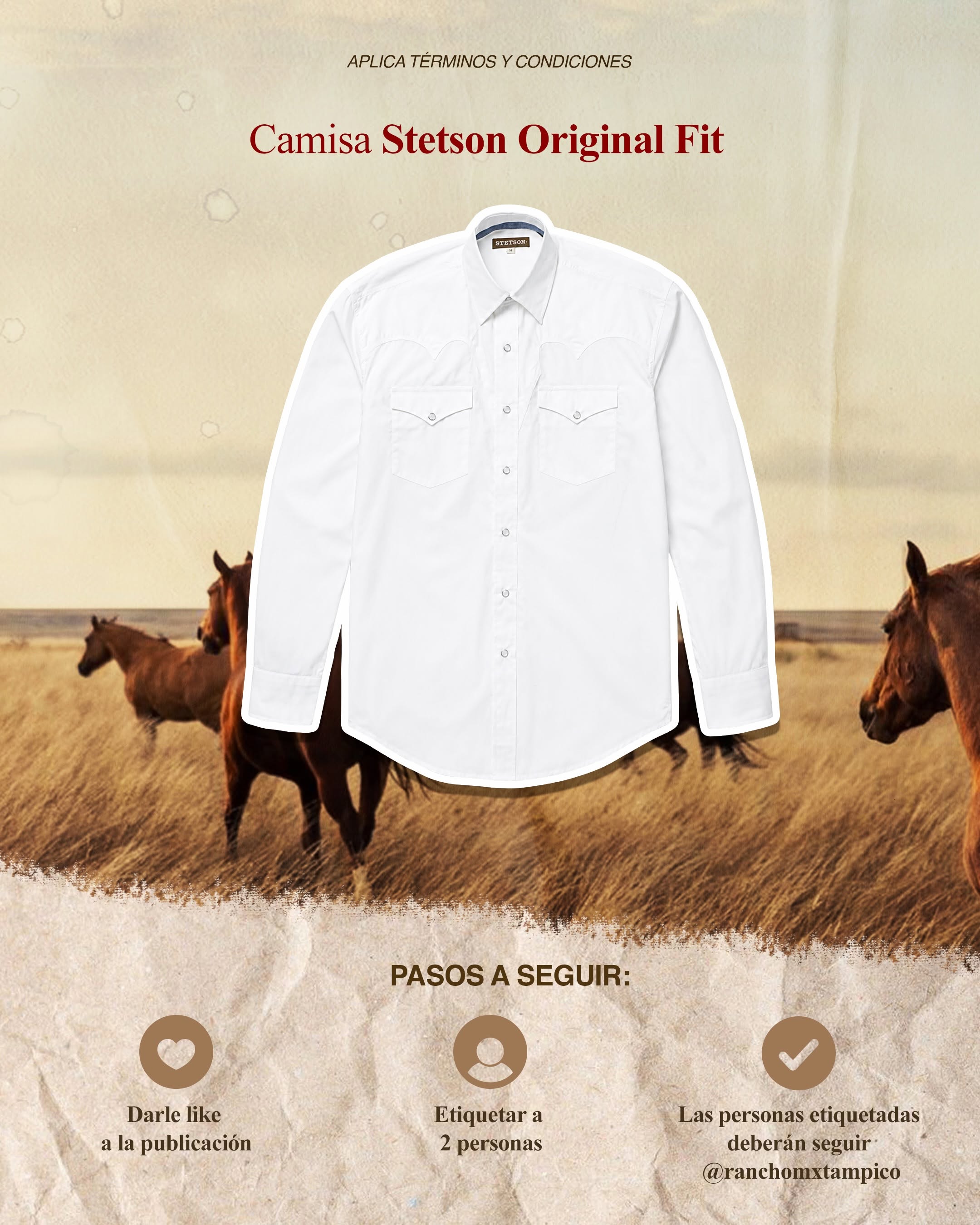 Camisa Stetson Original Fit